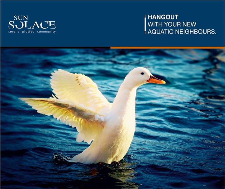 Nestled amidst the serene environs of Sanand-Nalsarovar Road, Sun Solace boasts of the most exquisite flora and fauna which are rare to Ahmedabad’s neighbourhood.
Explore more at - http://sunbuilders.in/sun-solace/