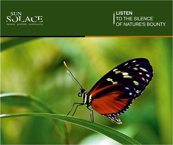 Be close to nature. Be close to peace. 

Know more about Sun Solace here:  http://sunbuilders.in/sun-solace/