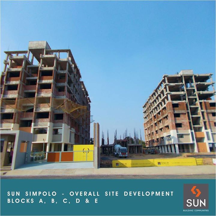 Sun Simpolo is developing fast and developing great!