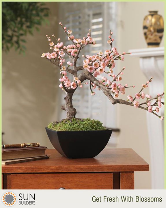 Blossoms placed in a vase or a pot create a pleasing display and add that fresh appeal to your room. #homedecor