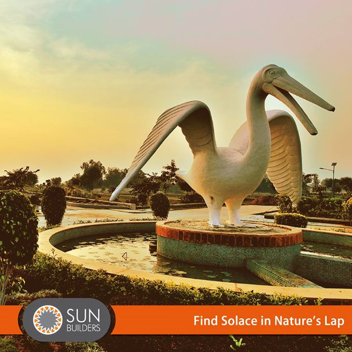 Standing out as a sparkling gem, Sun Solace by Sun Builders Group, is a sanctuary of luxury and splendour. Call +91 98795 23871 to know more. #luxurious #lifestyle