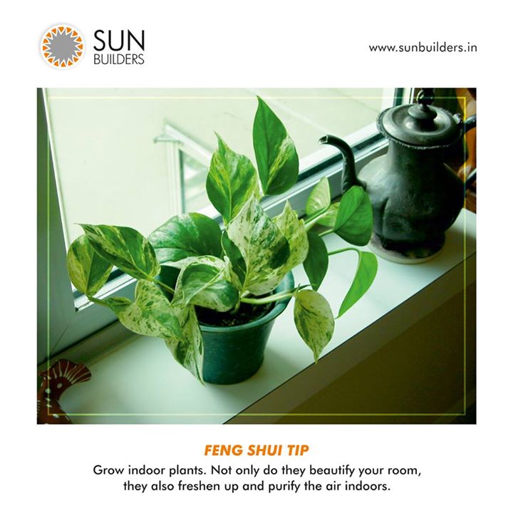Sun Builders Group brings to you Feng Shui Tips that can make your surroundings calm and attract positive vibes. 
Tip: Indoor plants are great to freshen up your indoors and feel close to nature. They purify the air around you and also makes your room look great.  #FengShui #Tips #IndoorPlants