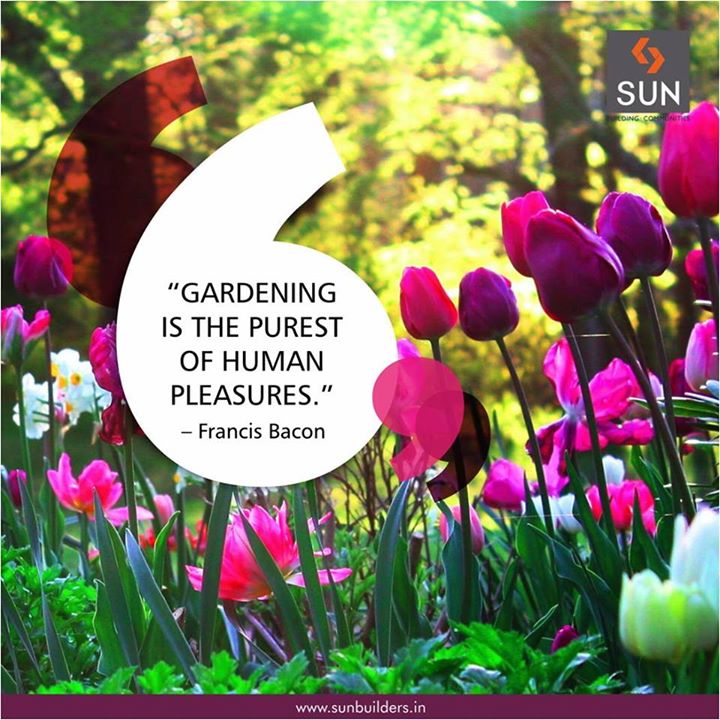 Gardening brings peace to soul.