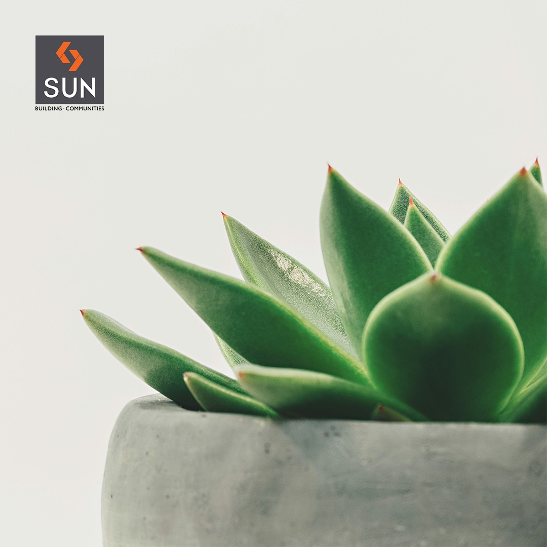 In our upcoming project, we're dedicated to building spaces that nurture your dreams & foster a vibrant community. It is a thoughtfully designed project that will support every aspect of your life, ensuring a harmonious balance between comfort & innovation.

Enquire today,
Call: +91 99789 32083
Location: Ambli - SP Ring Road
Status: Launching Soon

#NewProject #Upcoming #SunBuildersGroup #SunBuilders #Residential #Retail #Homes #Ambli #SPRingRoad #RealEstateAhmedabad