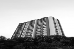 A look back at how smart design and contemporary style came together to create spaces that maximize every inch, offering a perfect balance of functionality and style.

Location: North Bopal
Year of completion: 2018

#SunAspire #Ahmedabad #SunBuildersGroup #Gujarat #RealEstate #SunBuilders #NorthBopal #Residential #Commercial #Retail #ShotAtSun #FlashBack #CompletedProject