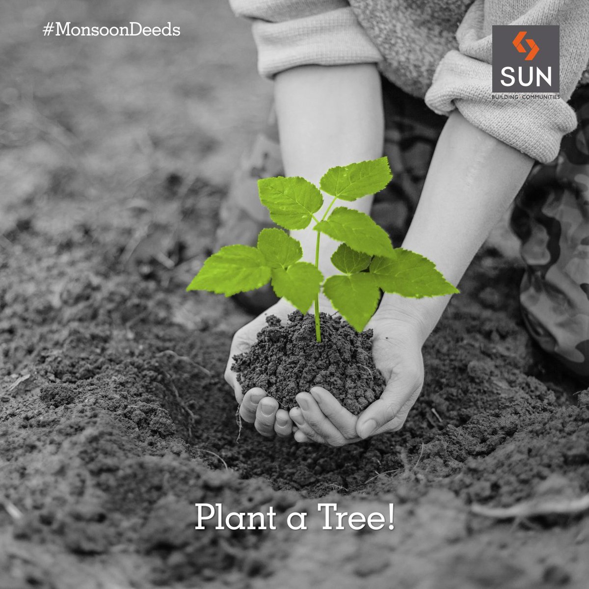 #MonsoonDeeds
This monsoon, let's take an initiative to #planttrees and nurture it for a bright future. https://t.co/jGHLcb0omi