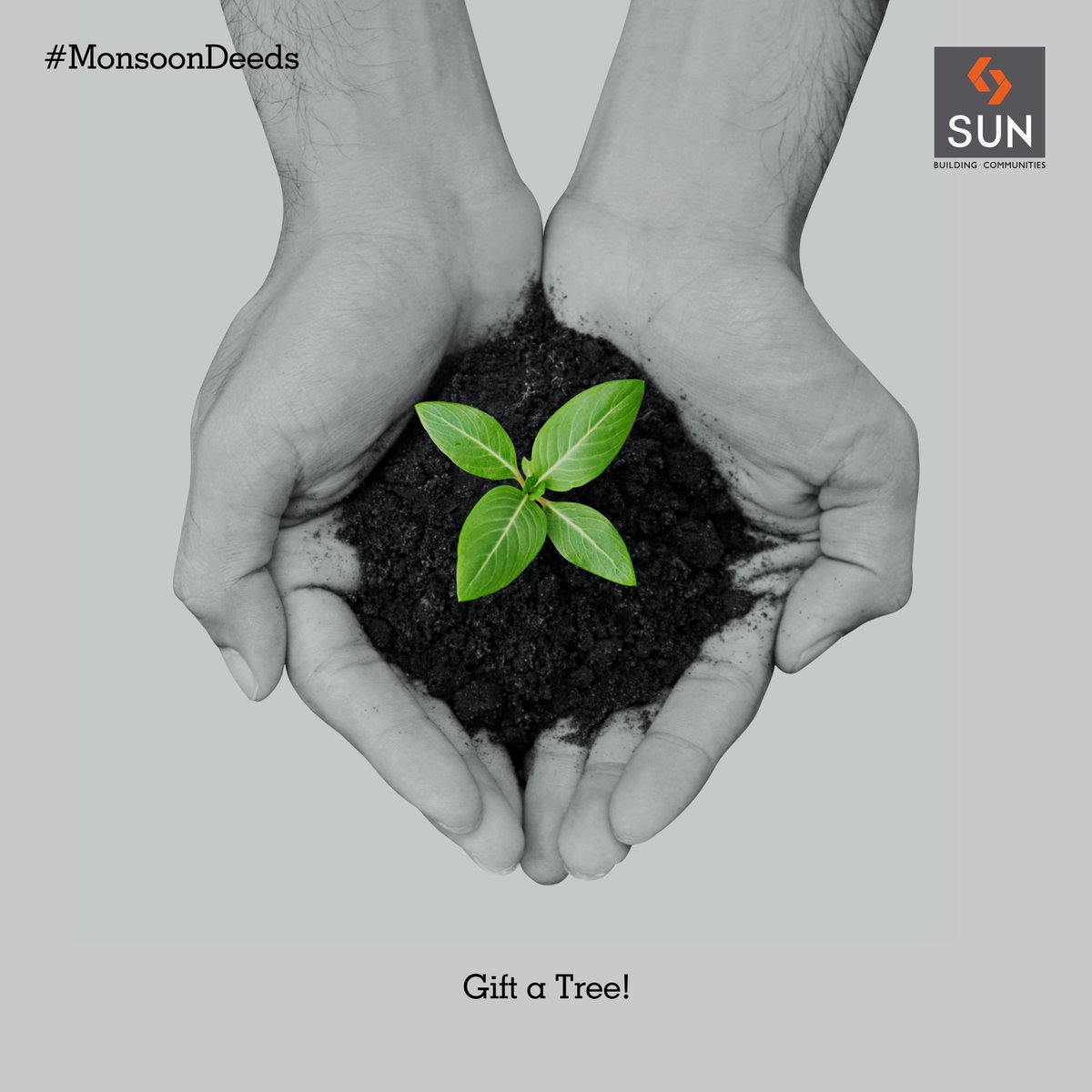 #MonsoonDeeds 
Turn our Earth more green, plant more greens during monsoon. https://t.co/bQl6Cku9VJ
